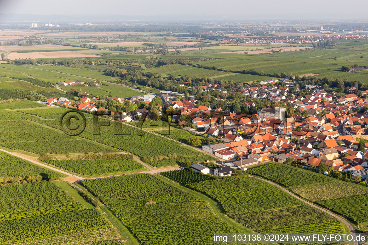 Vue d'oiseau de Bechtheim dans le département Rhénanie-Palatinat, Allemagne