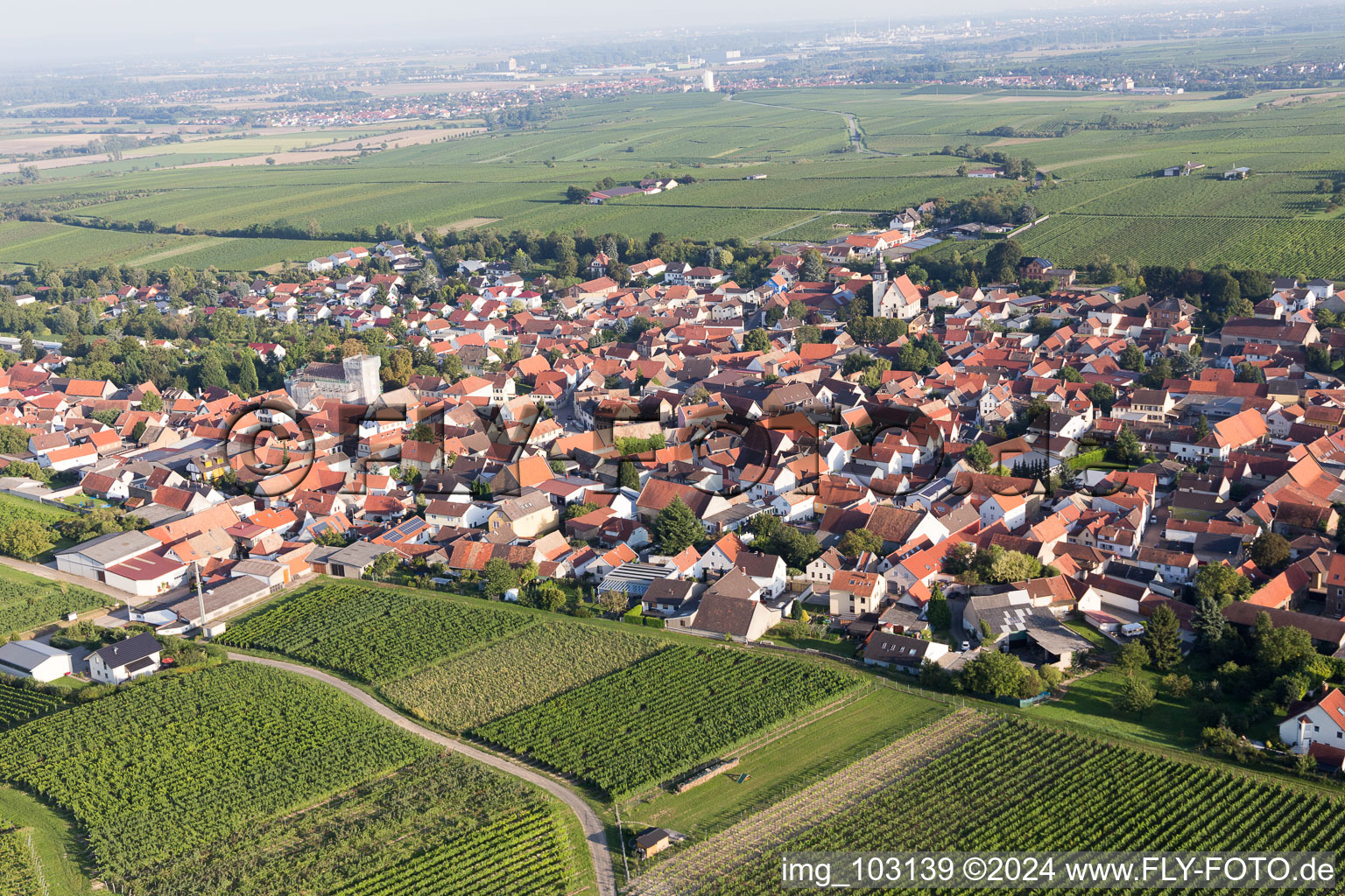 Bechtheim dans le département Rhénanie-Palatinat, Allemagne vue du ciel