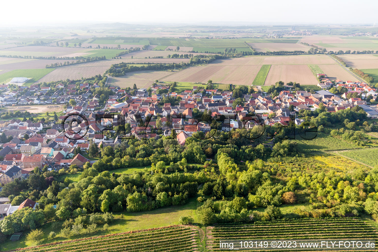 Dittelsheim-Heßloch dans le département Rhénanie-Palatinat, Allemagne vue d'en haut