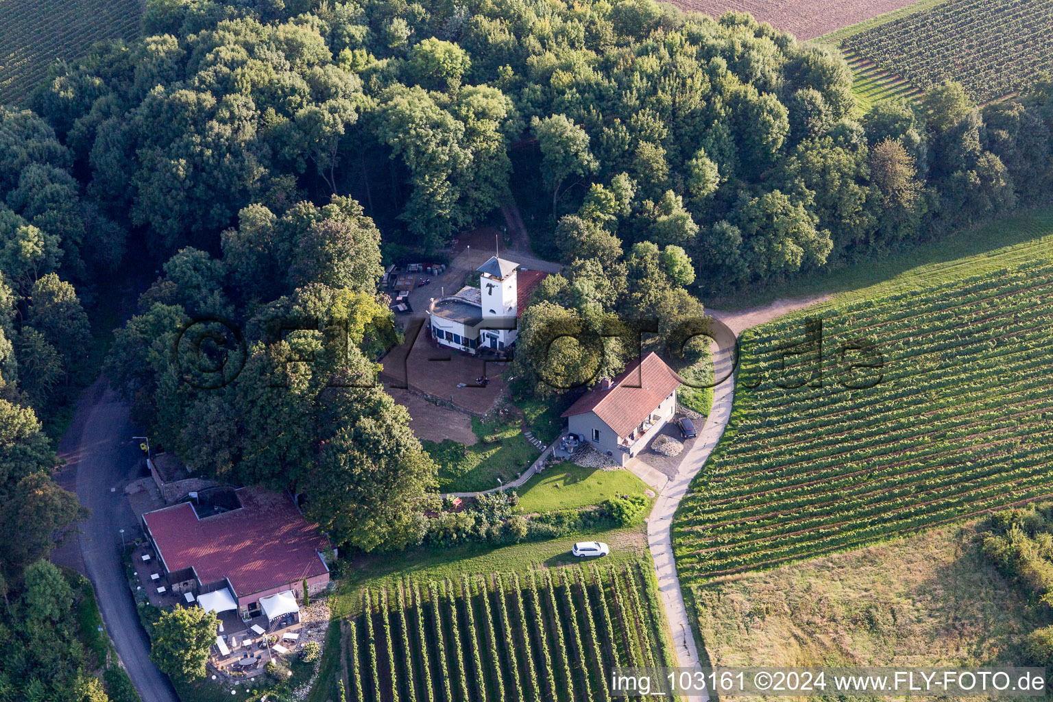 Vue aérienne de Quartier Dittelsheim in Dittelsheim-Heßloch dans le département Rhénanie-Palatinat, Allemagne