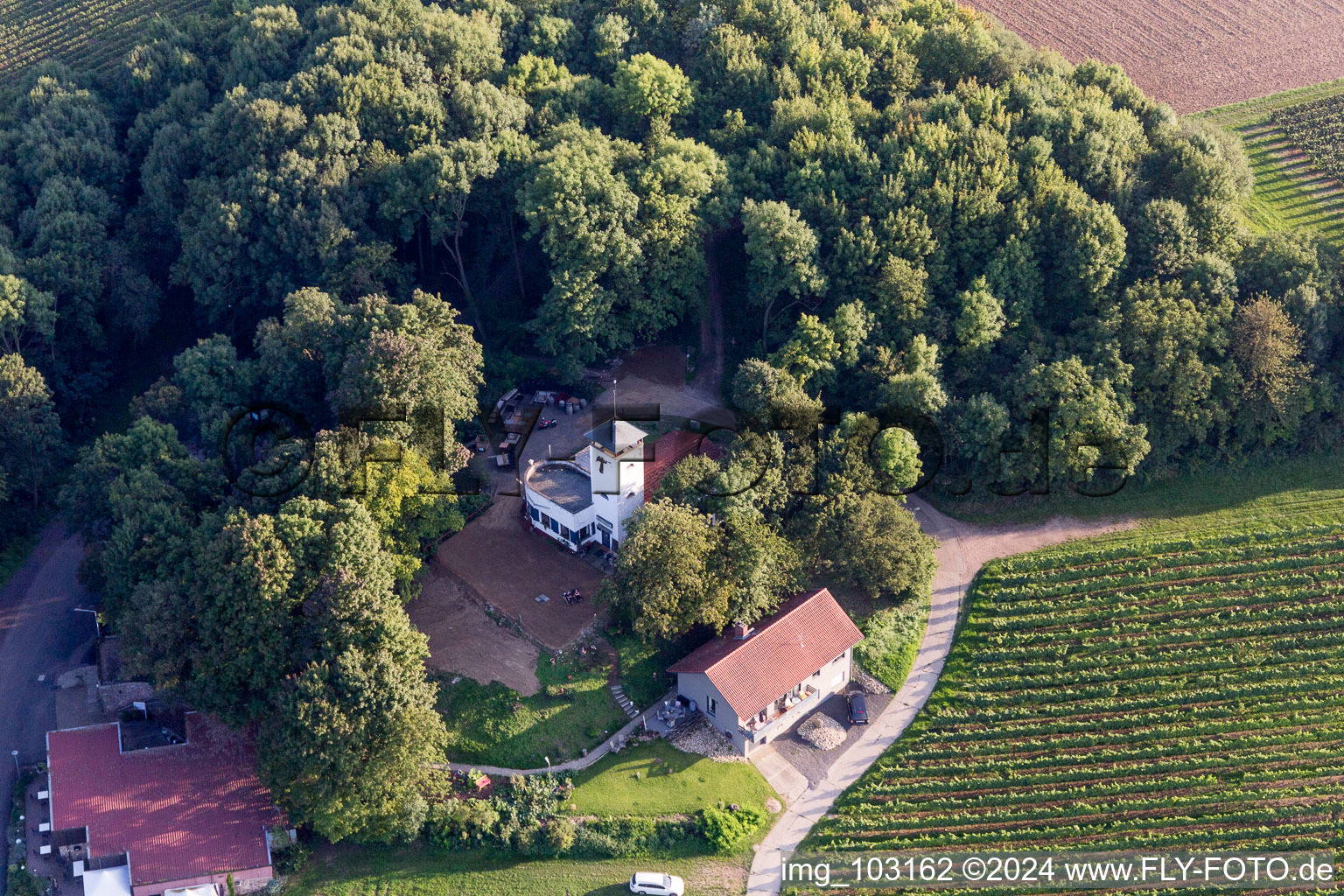 Photographie aérienne de Quartier Dittelsheim in Dittelsheim-Heßloch dans le département Rhénanie-Palatinat, Allemagne