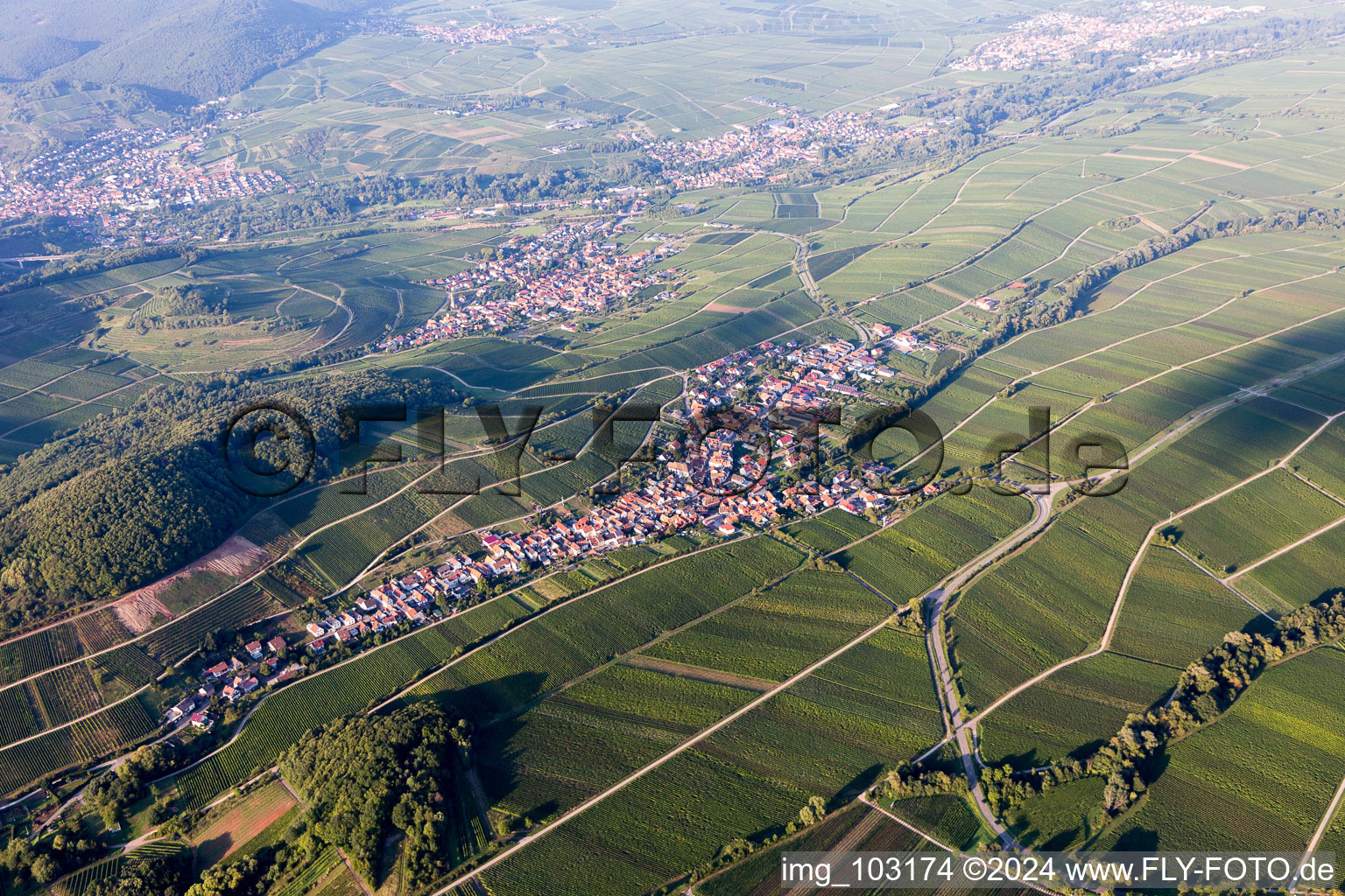 Ranschbach dans le département Rhénanie-Palatinat, Allemagne vue d'en haut