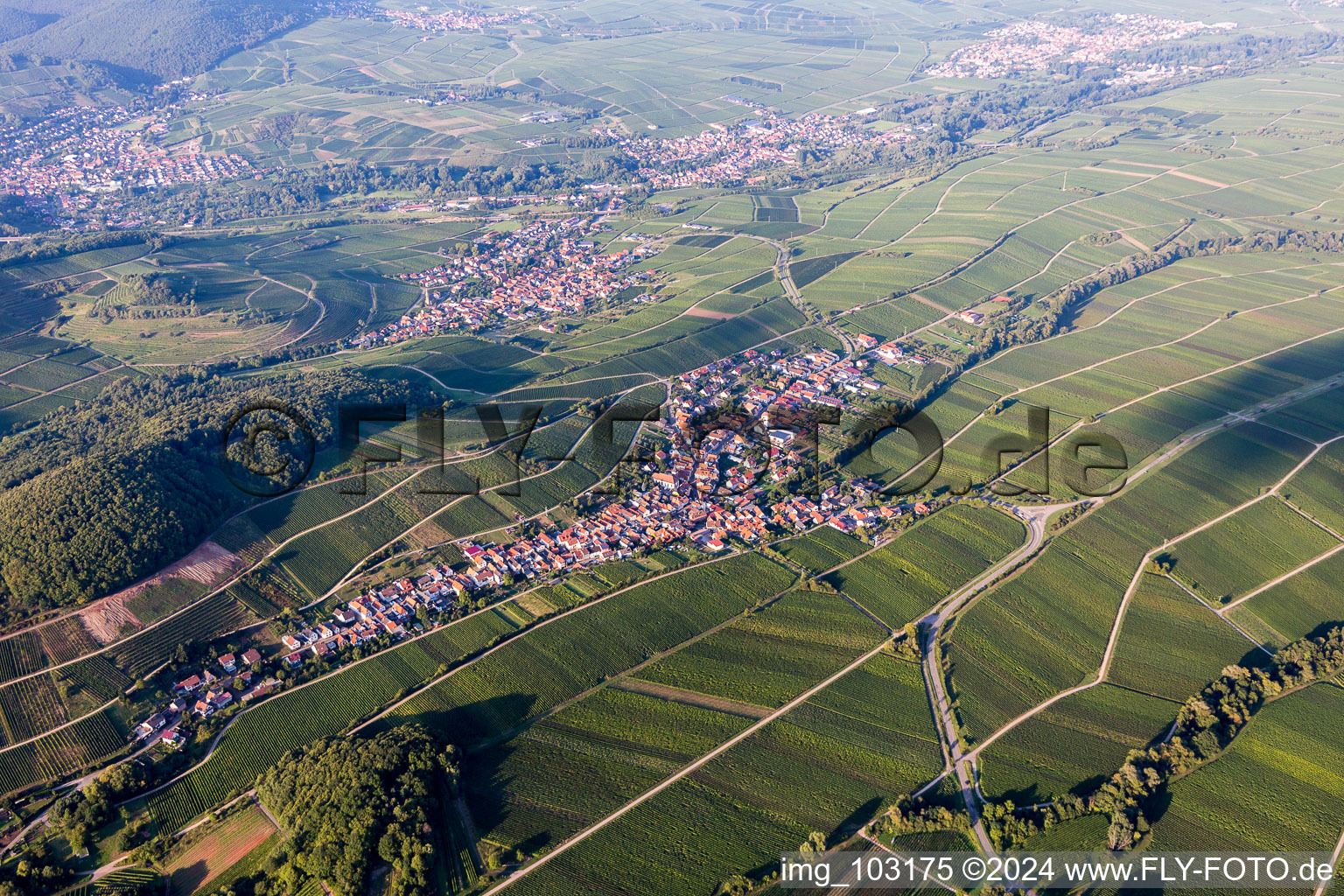 Vue aérienne de Village - vue entre vignes à Ranschbach dans le département Rhénanie-Palatinat, Allemagne