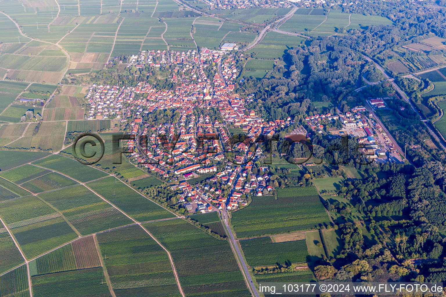 Vue aérienne de Vue des rues et des maisons des quartiers résidentiels à Siebeldingen dans le département Rhénanie-Palatinat, Allemagne