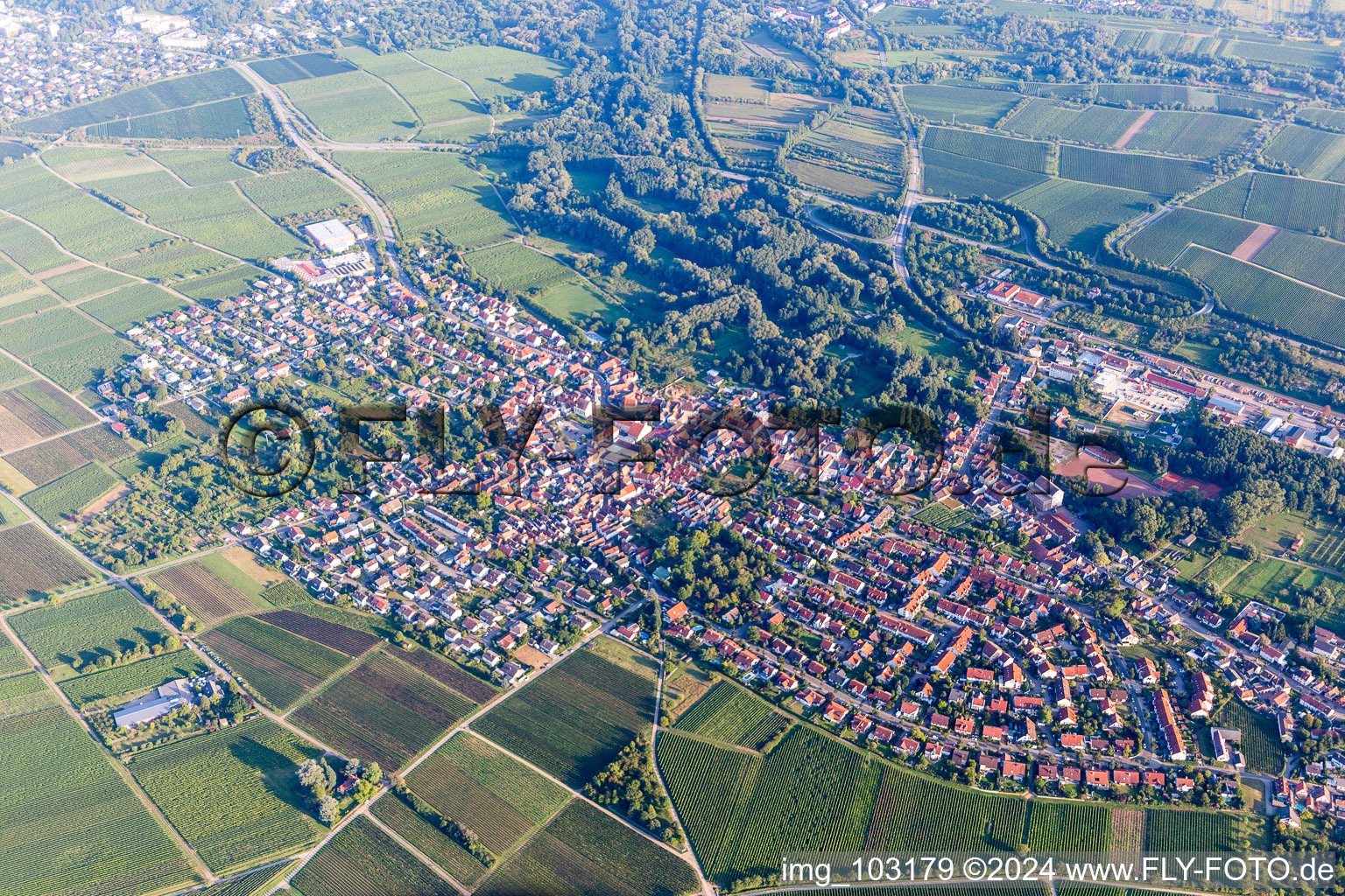 Quartier Godramstein in Landau in der Pfalz dans le département Rhénanie-Palatinat, Allemagne vue du ciel