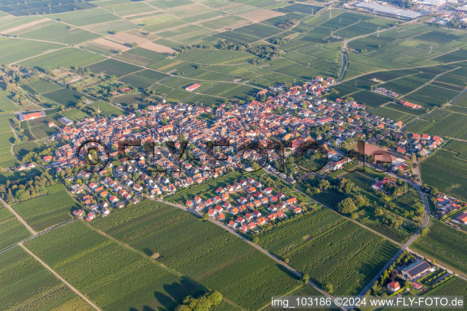 Vue aérienne de Vue sur le village à le quartier Nußdorf in Landau in der Pfalz dans le département Rhénanie-Palatinat, Allemagne
