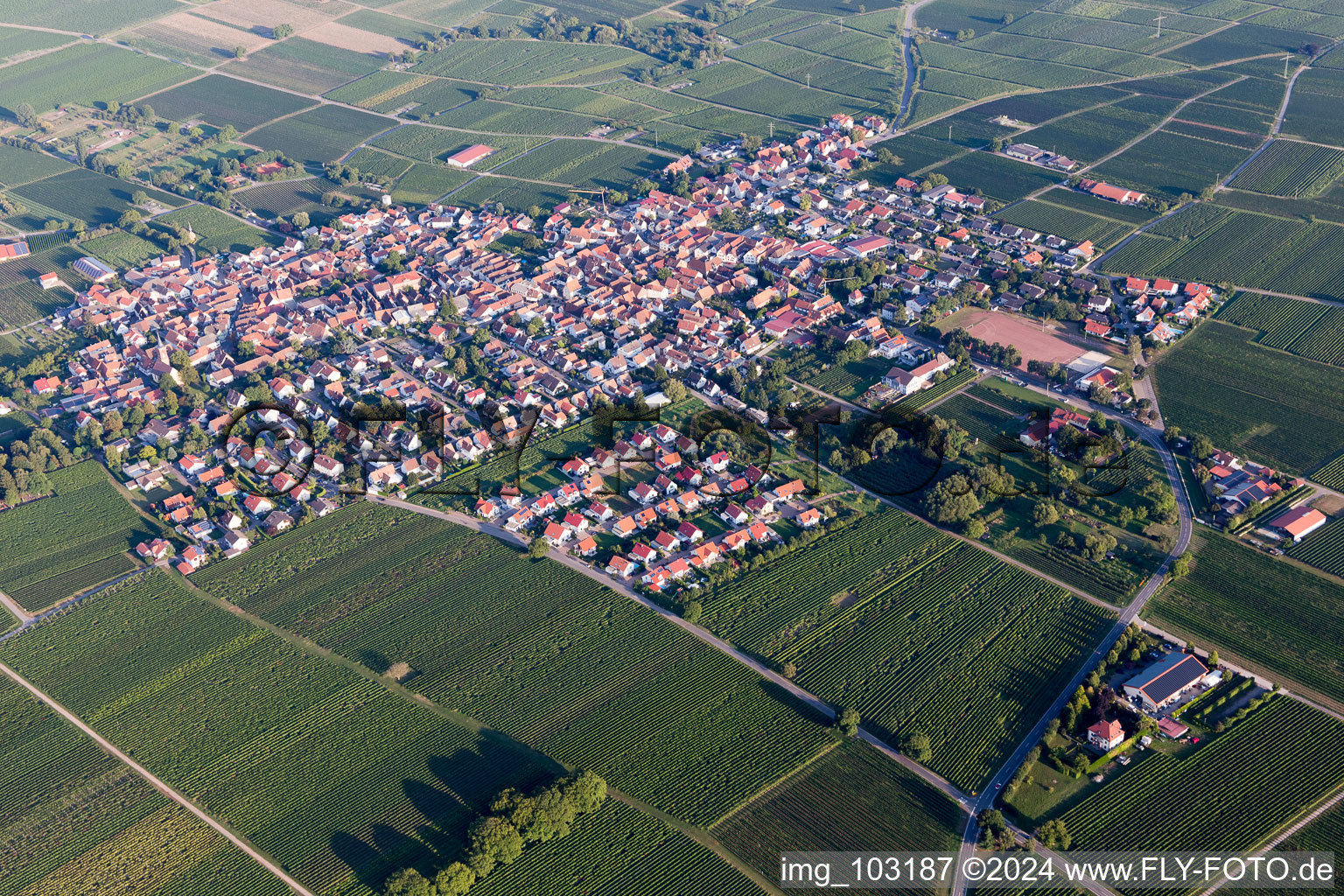 Quartier Nußdorf in Landau in der Pfalz dans le département Rhénanie-Palatinat, Allemagne depuis l'avion