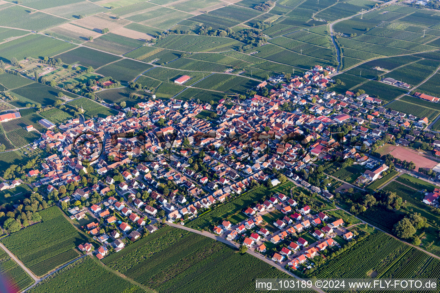 Quartier Nußdorf in Landau in der Pfalz dans le département Rhénanie-Palatinat, Allemagne vue du ciel