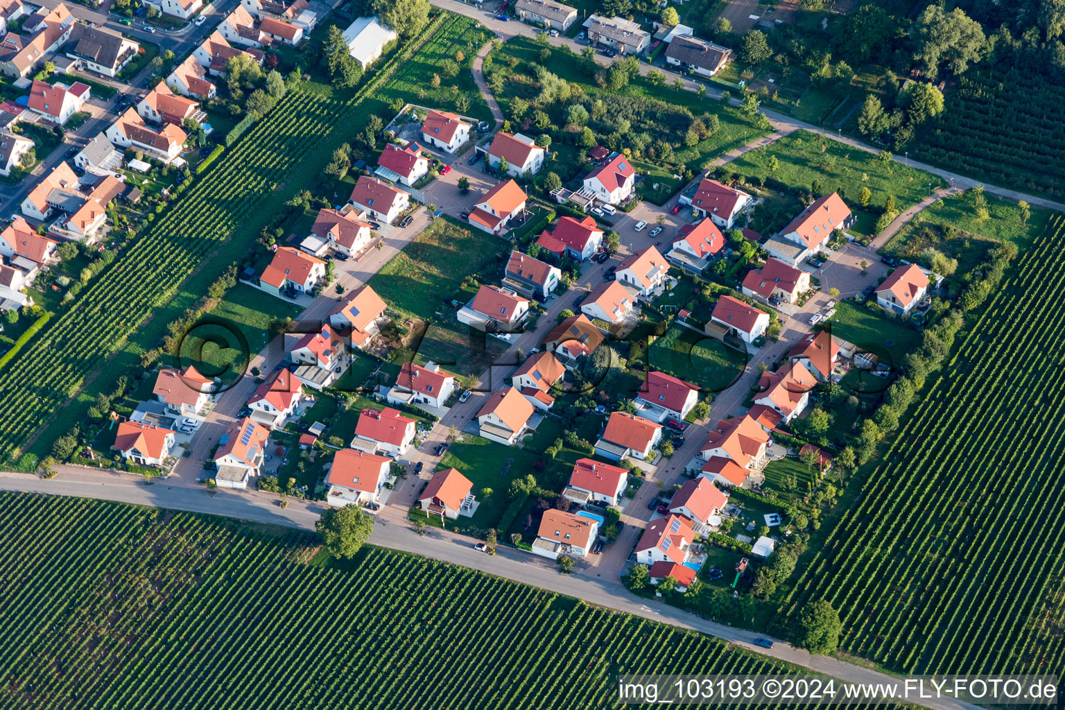 Vue aérienne de Zone de peuplement à le quartier Nußdorf in Landau in der Pfalz dans le département Rhénanie-Palatinat, Allemagne