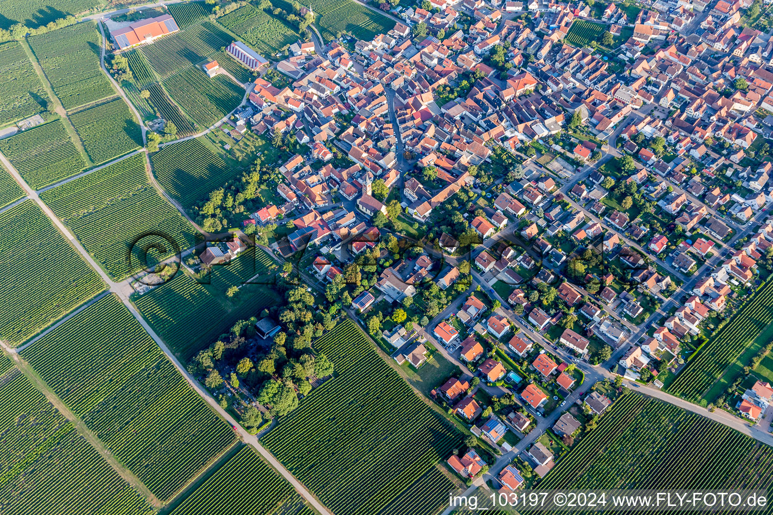 Quartier Nußdorf in Landau in der Pfalz dans le département Rhénanie-Palatinat, Allemagne vu d'un drone