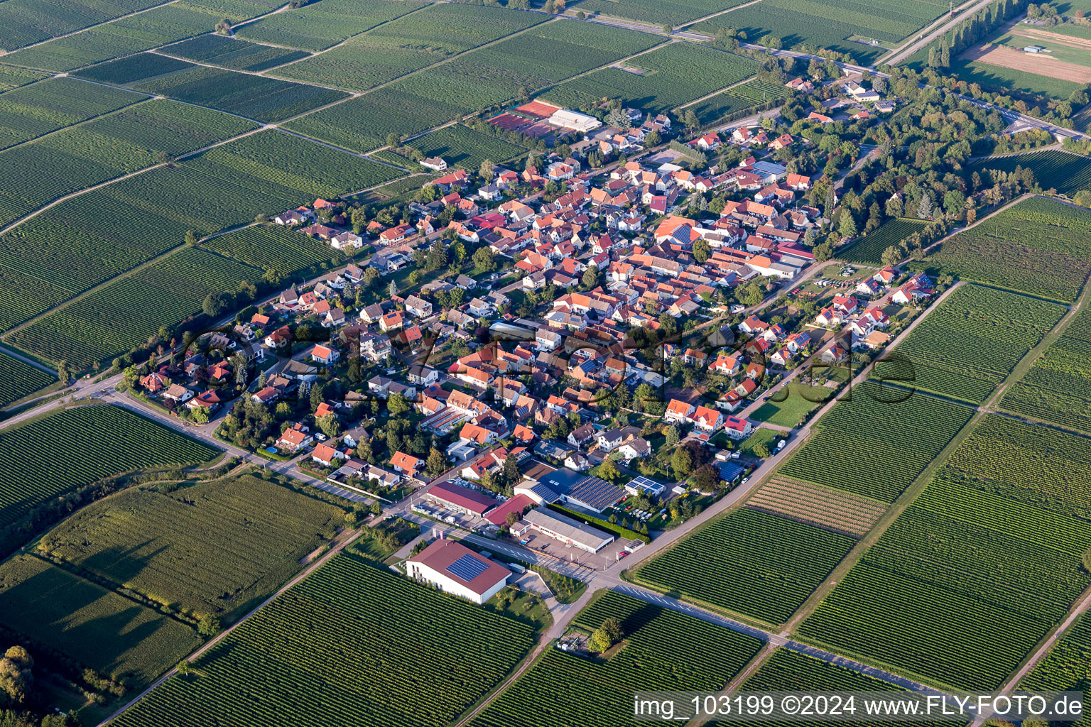 Walsheim dans le département Rhénanie-Palatinat, Allemagne d'en haut