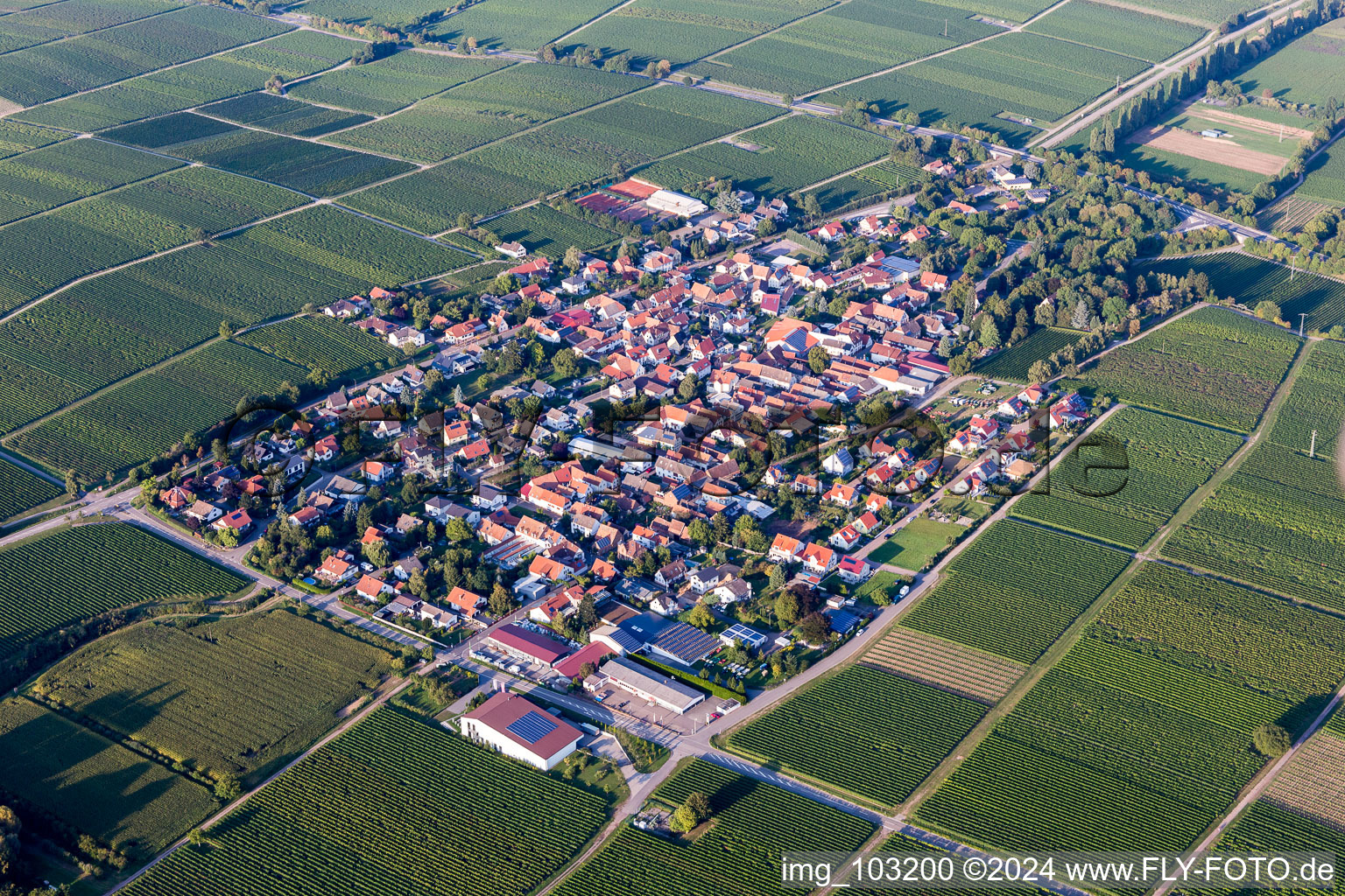 Vue aérienne de Champs agricoles et surfaces utilisables à Walsheim dans le département Rhénanie-Palatinat, Allemagne