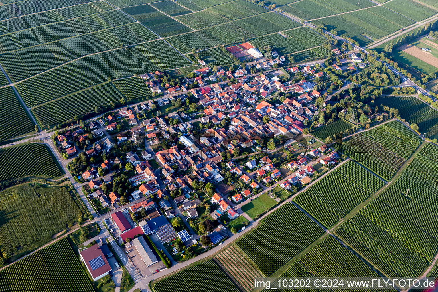 Walsheim dans le département Rhénanie-Palatinat, Allemagne vue d'en haut