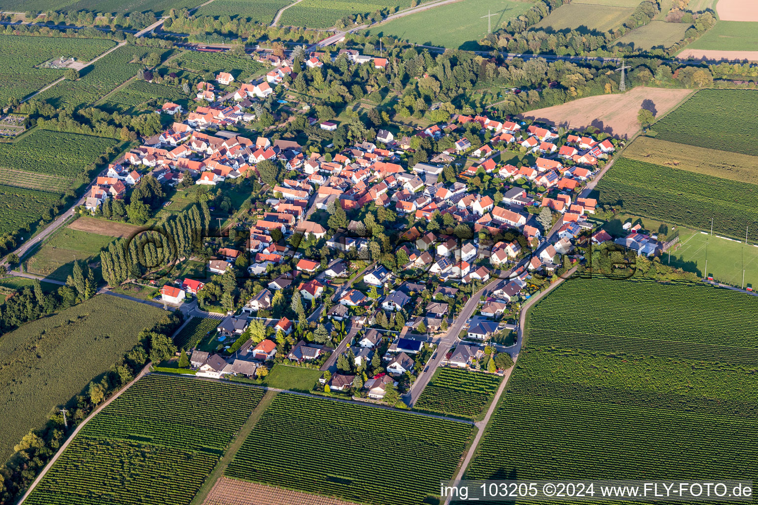 Vue aérienne de Champs agricoles et surfaces utilisables à Knöringen dans le département Rhénanie-Palatinat, Allemagne