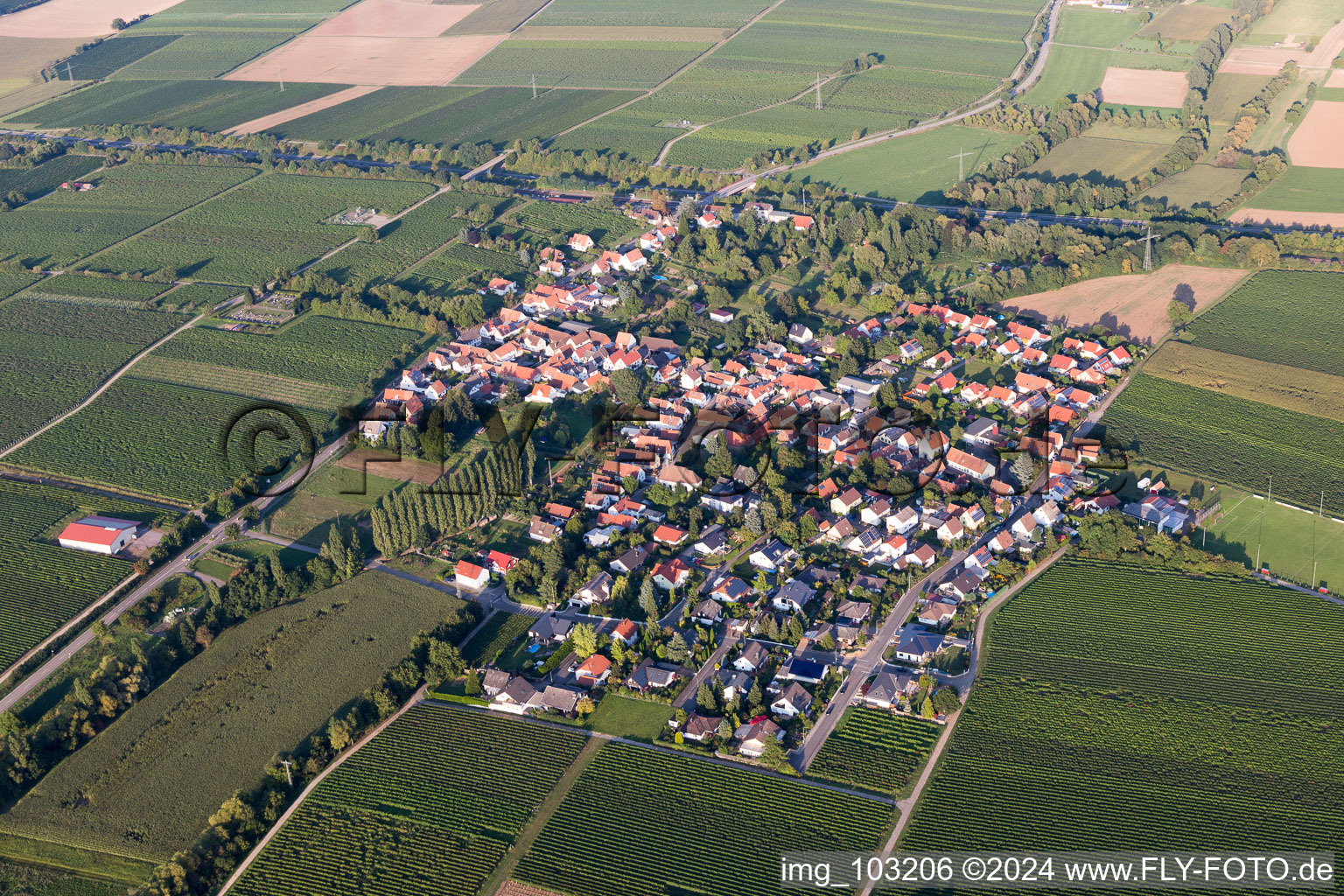 Walsheim dans le département Rhénanie-Palatinat, Allemagne vue du ciel