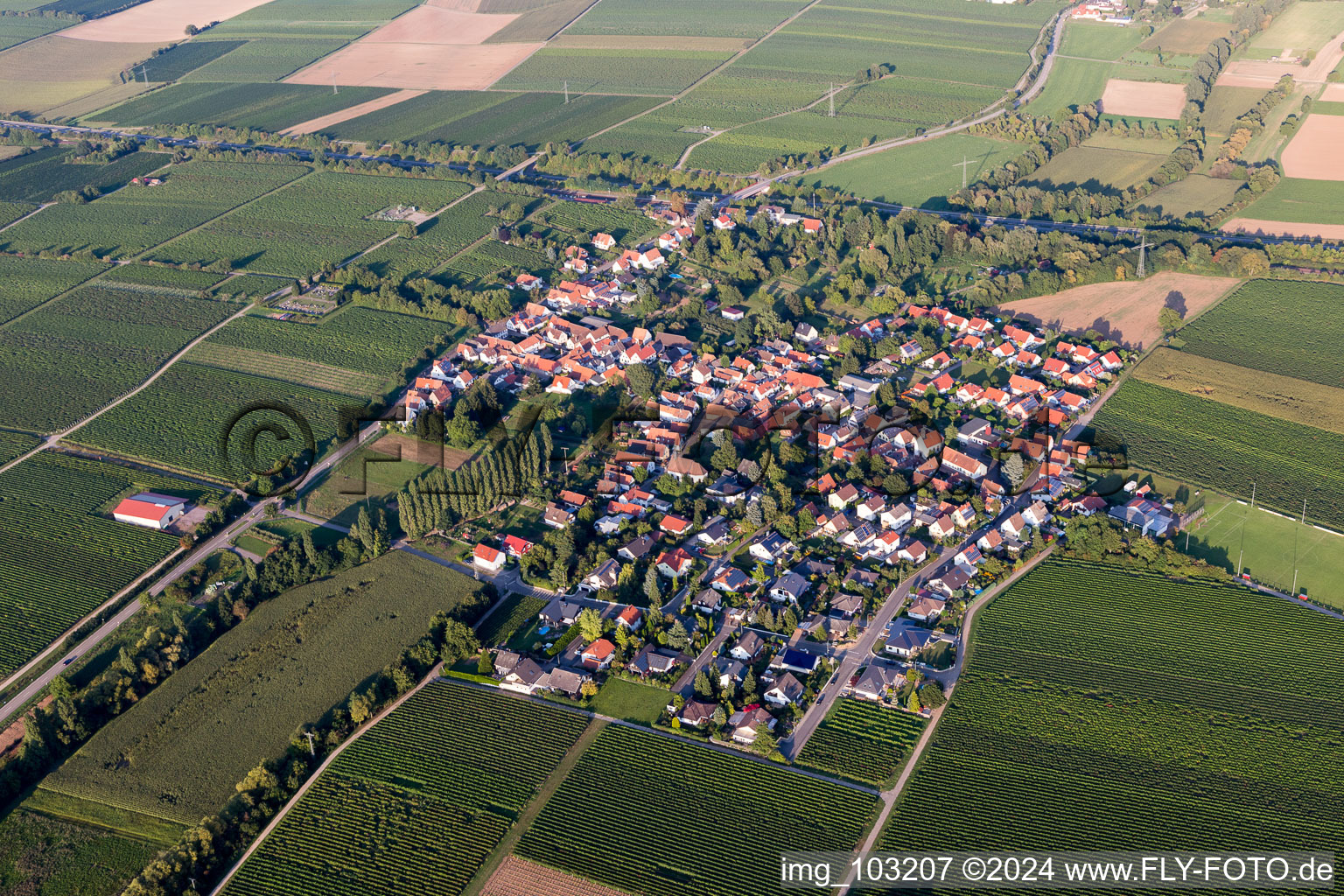 Enregistrement par drone de Walsheim dans le département Rhénanie-Palatinat, Allemagne