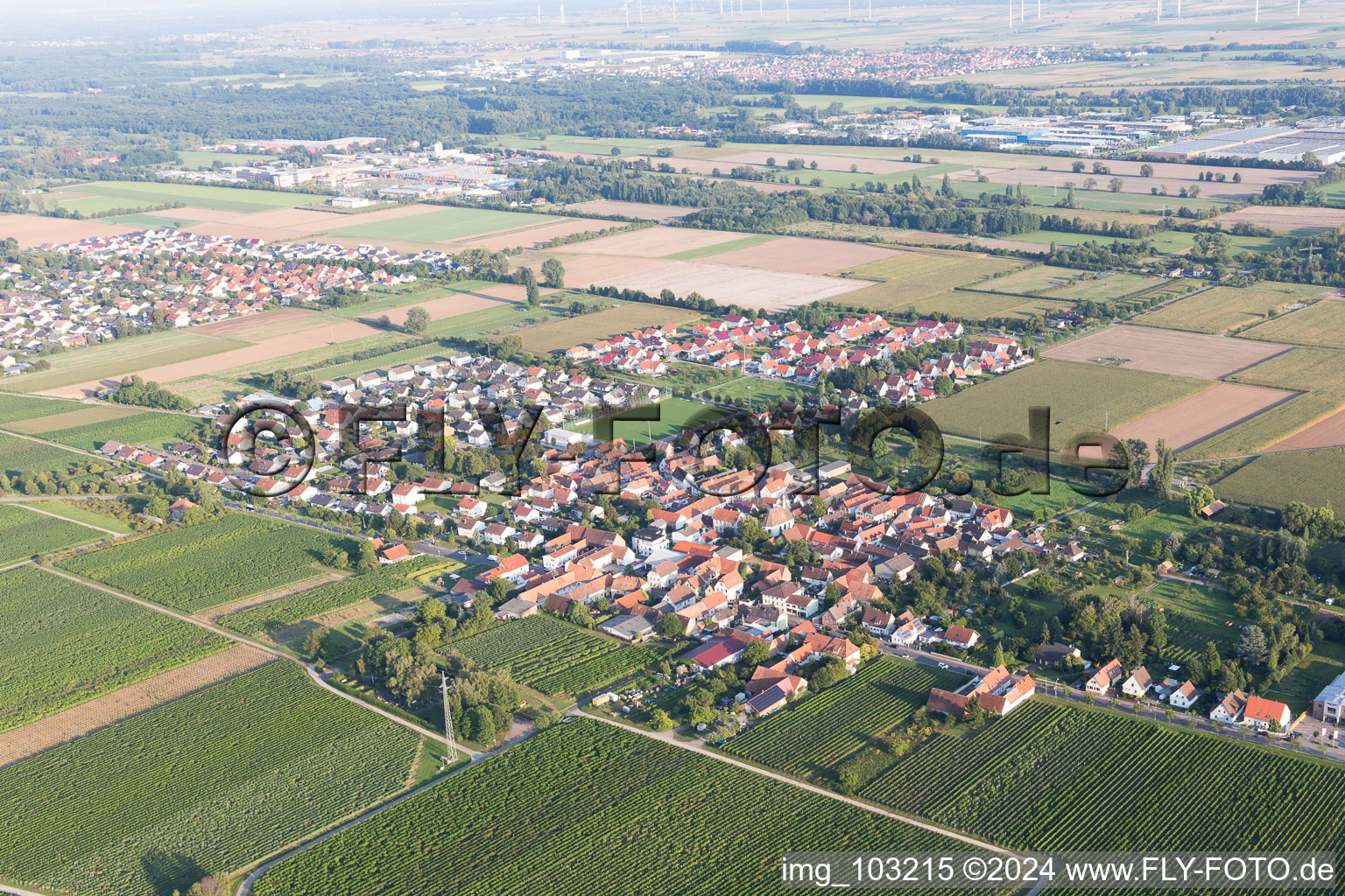 Photographie aérienne de Quartier Dammheim in Landau in der Pfalz dans le département Rhénanie-Palatinat, Allemagne