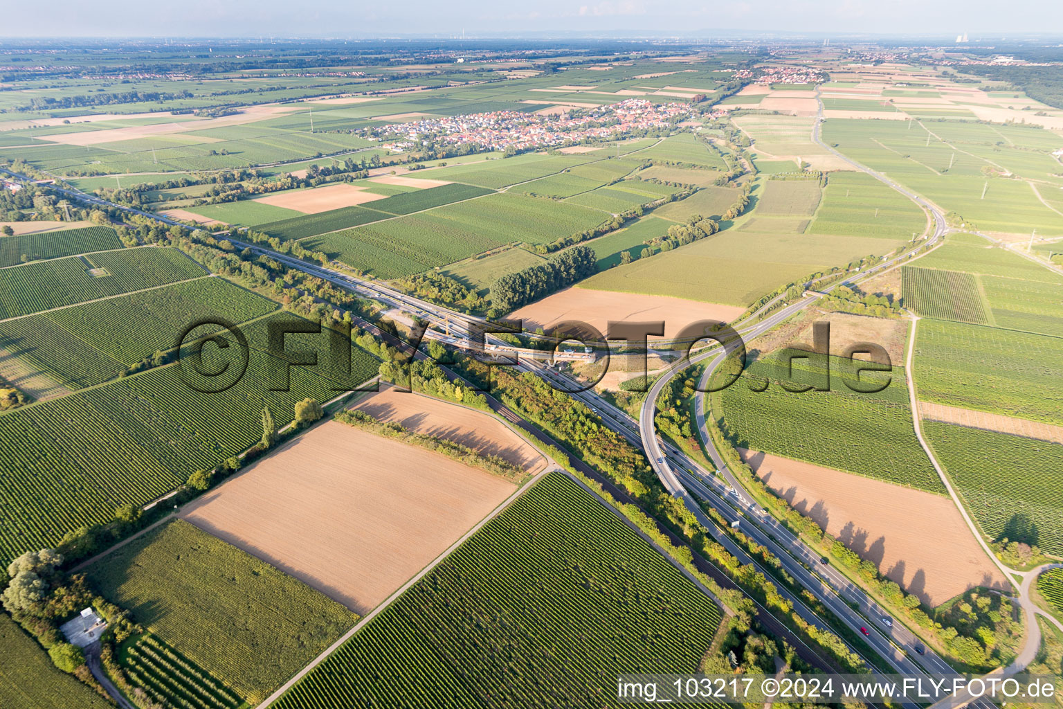 Photographie aérienne de A65 sortie Landau-Nord à le quartier Dammheim in Landau in der Pfalz dans le département Rhénanie-Palatinat, Allemagne