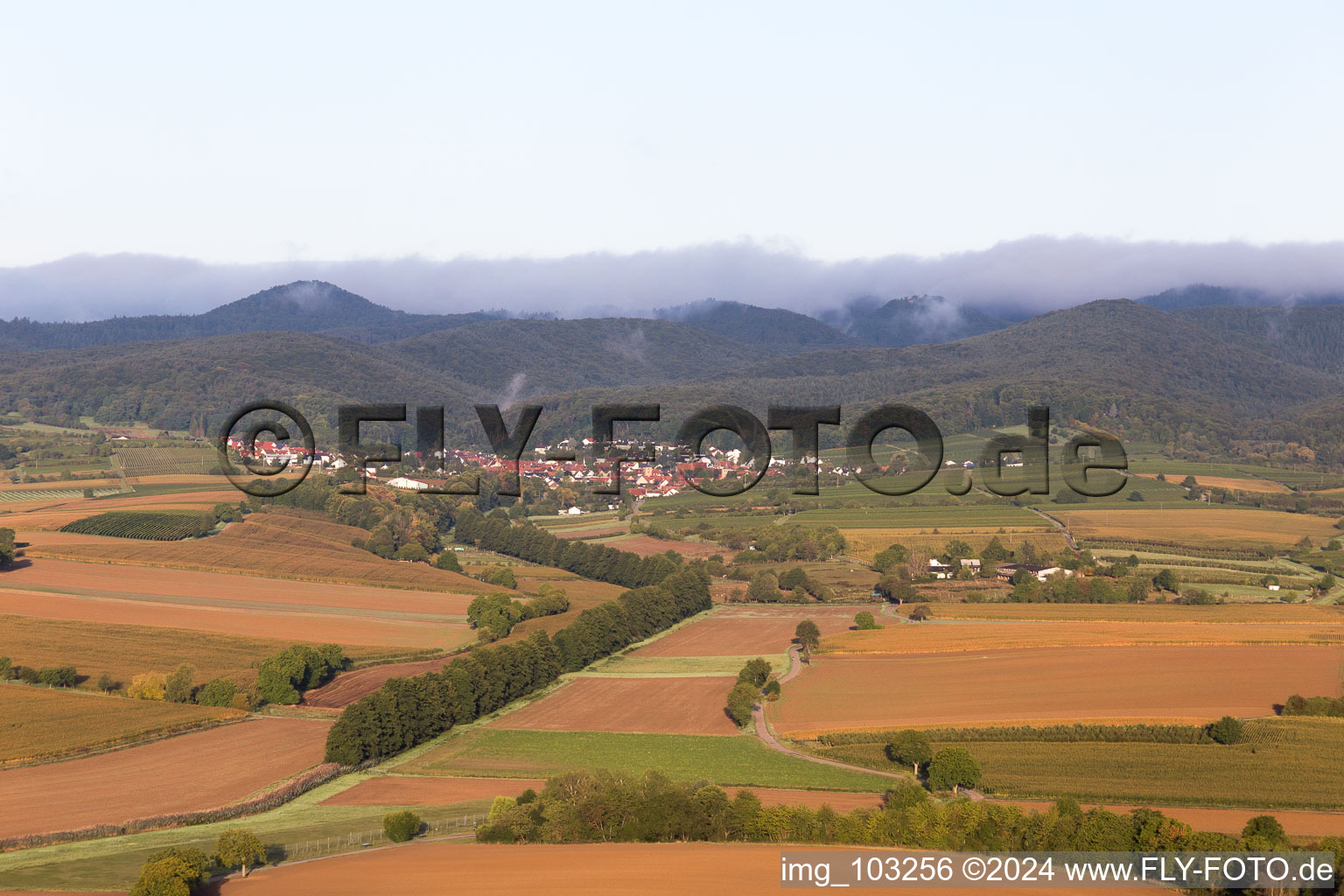 Vue d'oiseau de Oberotterbach dans le département Rhénanie-Palatinat, Allemagne