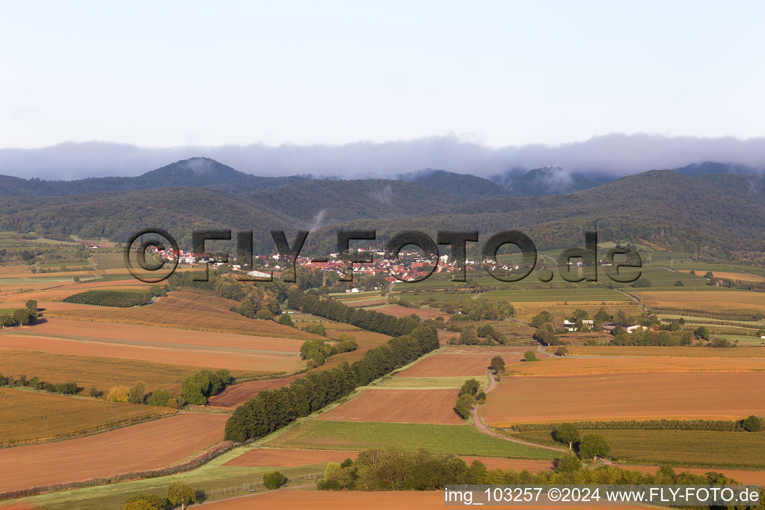 Oberotterbach dans le département Rhénanie-Palatinat, Allemagne vue du ciel