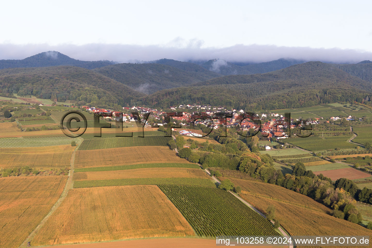 Enregistrement par drone de Oberotterbach dans le département Rhénanie-Palatinat, Allemagne