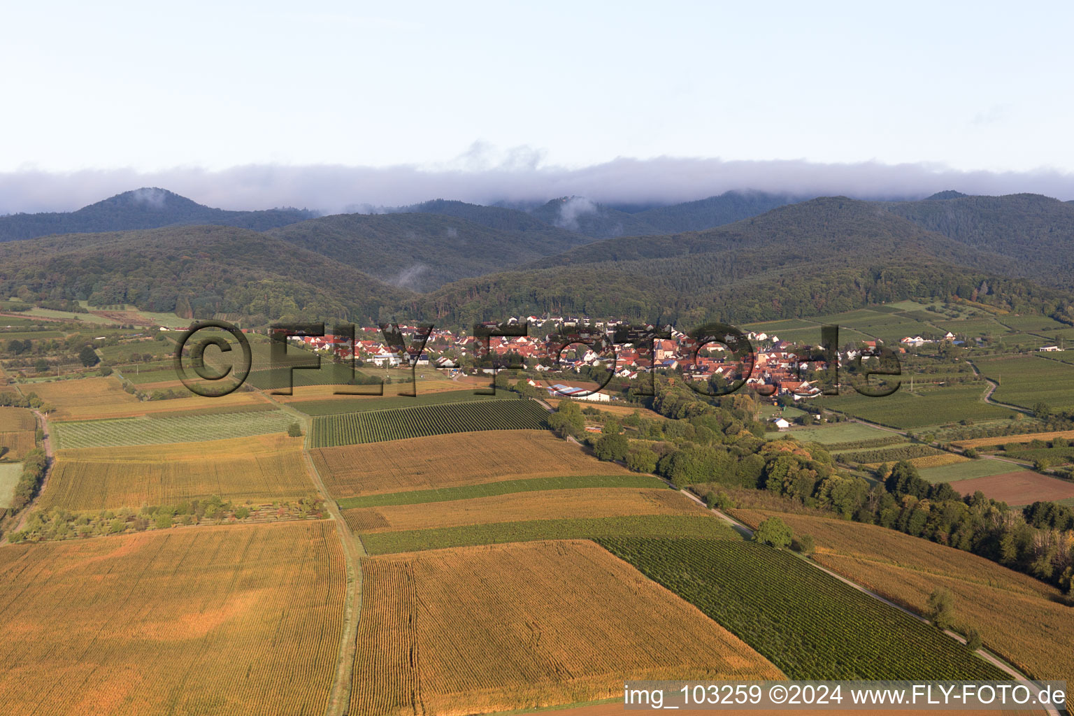 Image drone de Oberotterbach dans le département Rhénanie-Palatinat, Allemagne