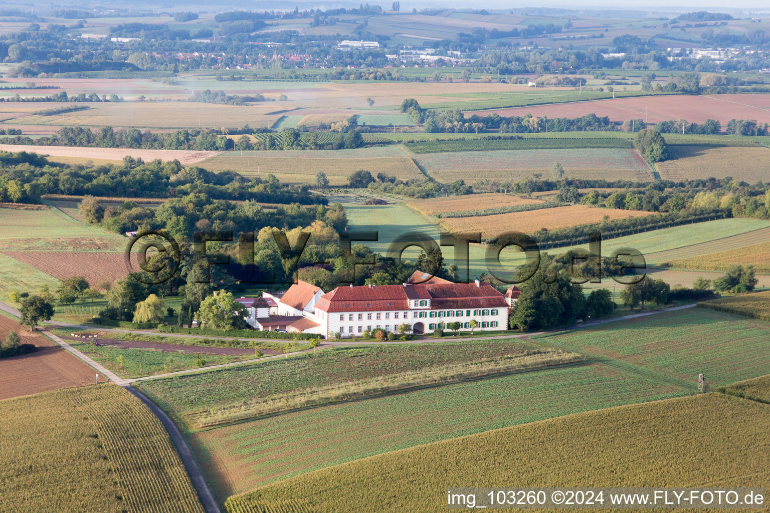 Oberotterbach dans le département Rhénanie-Palatinat, Allemagne du point de vue du drone