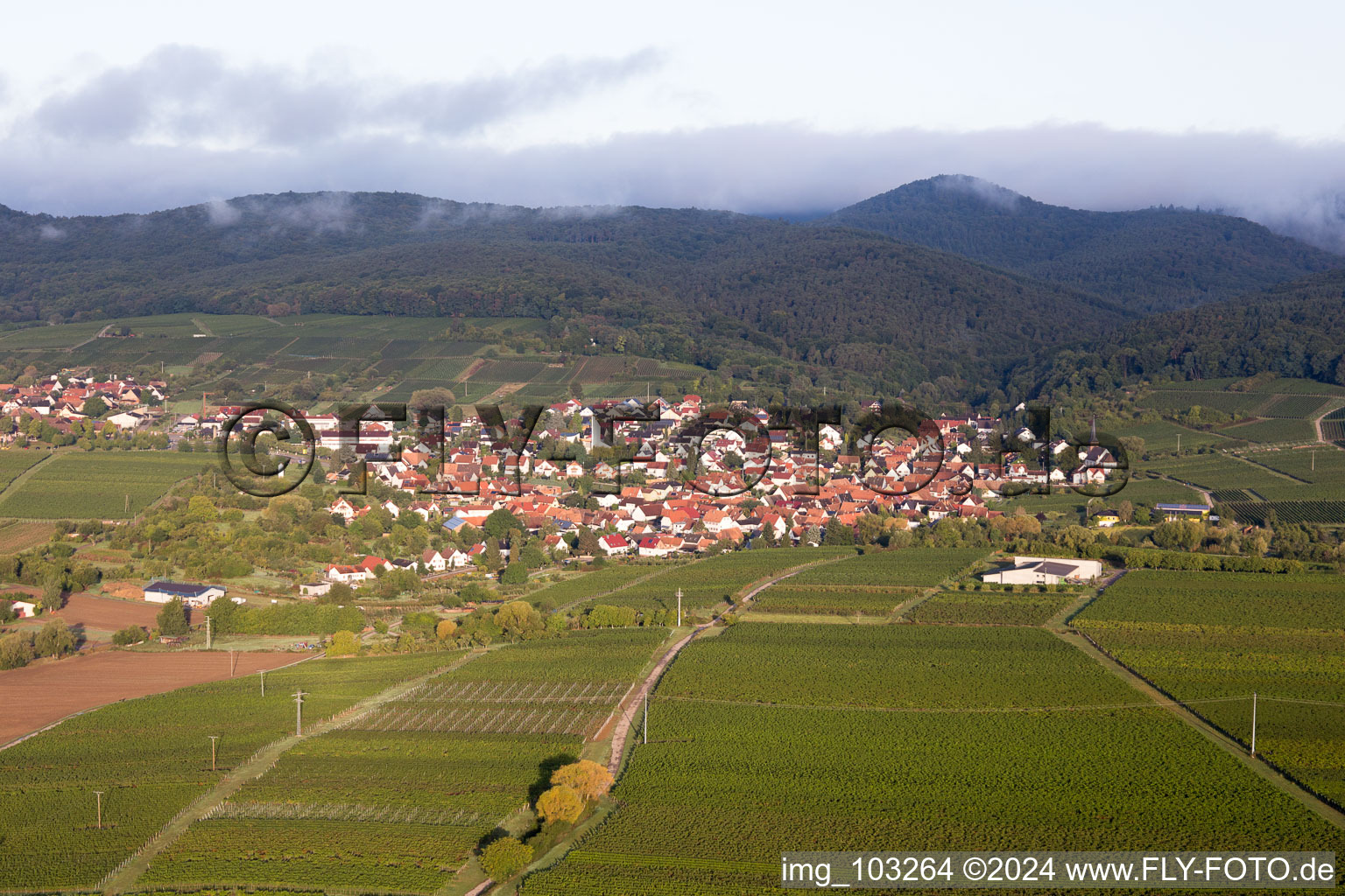 Photographie aérienne de Quartier Rechtenbach in Schweigen-Rechtenbach dans le département Rhénanie-Palatinat, Allemagne