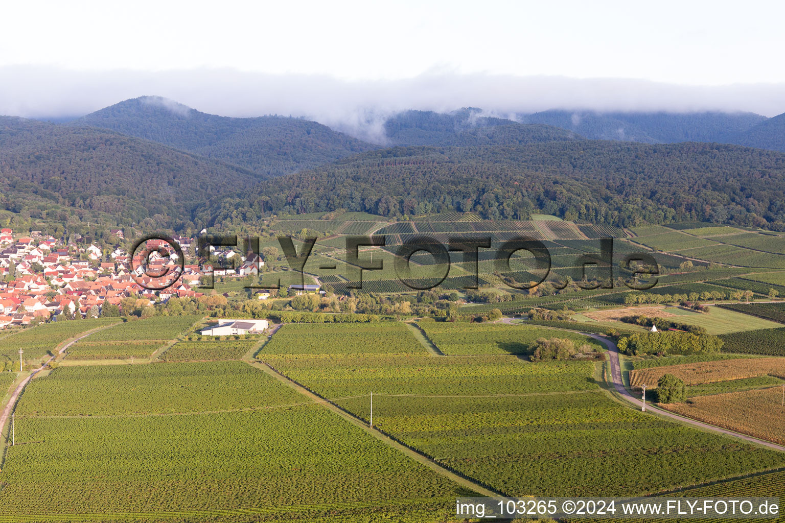 Vue oblique de Quartier Rechtenbach in Schweigen-Rechtenbach dans le département Rhénanie-Palatinat, Allemagne