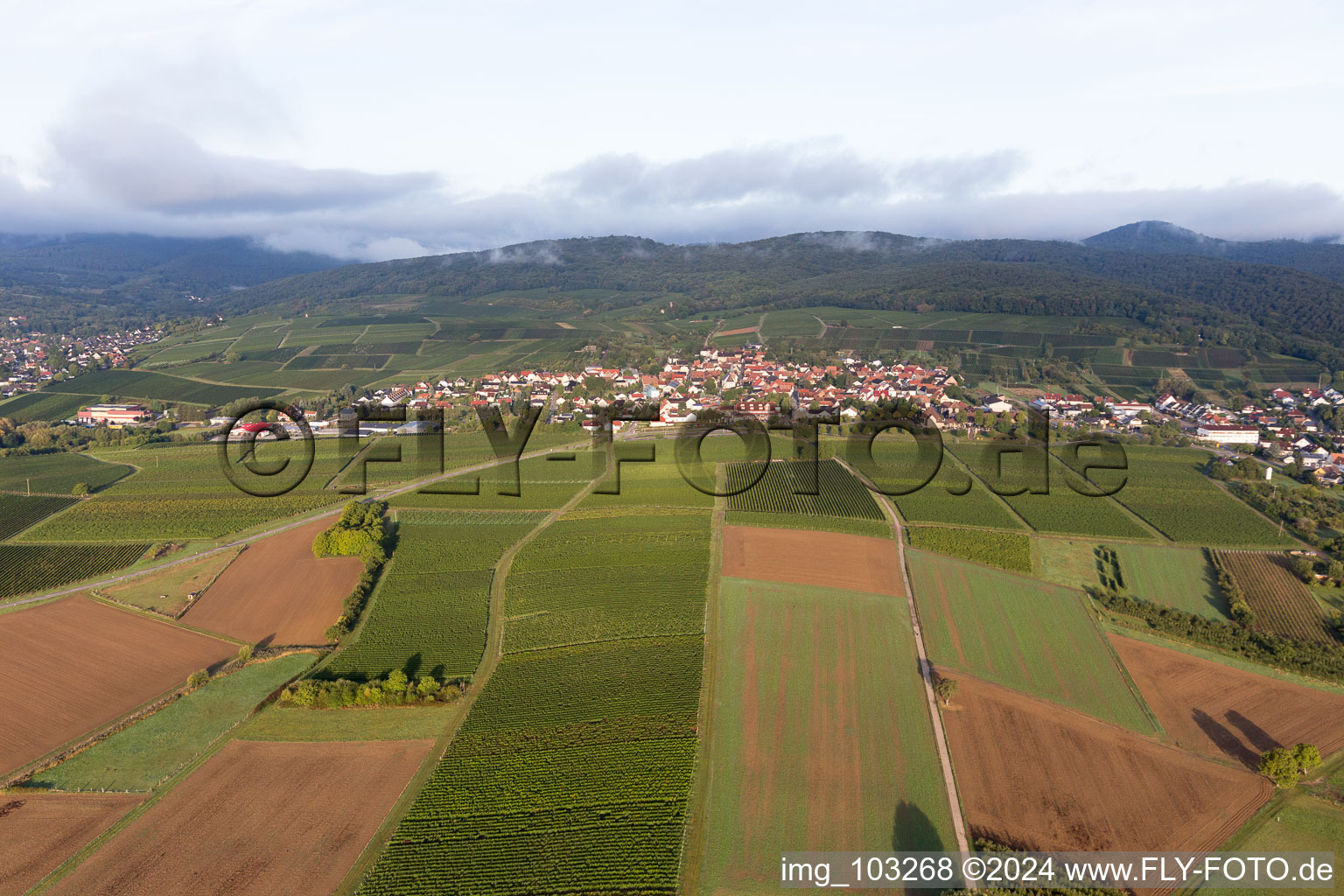 Photographie aérienne de Quartier Schweigen in Schweigen-Rechtenbach dans le département Rhénanie-Palatinat, Allemagne