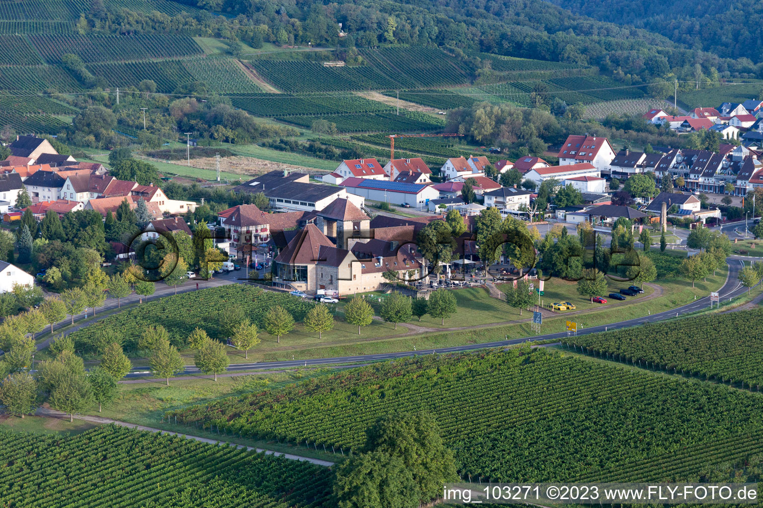 Vue aérienne de Porte du vin à le quartier Schweigen in Schweigen-Rechtenbach dans le département Rhénanie-Palatinat, Allemagne