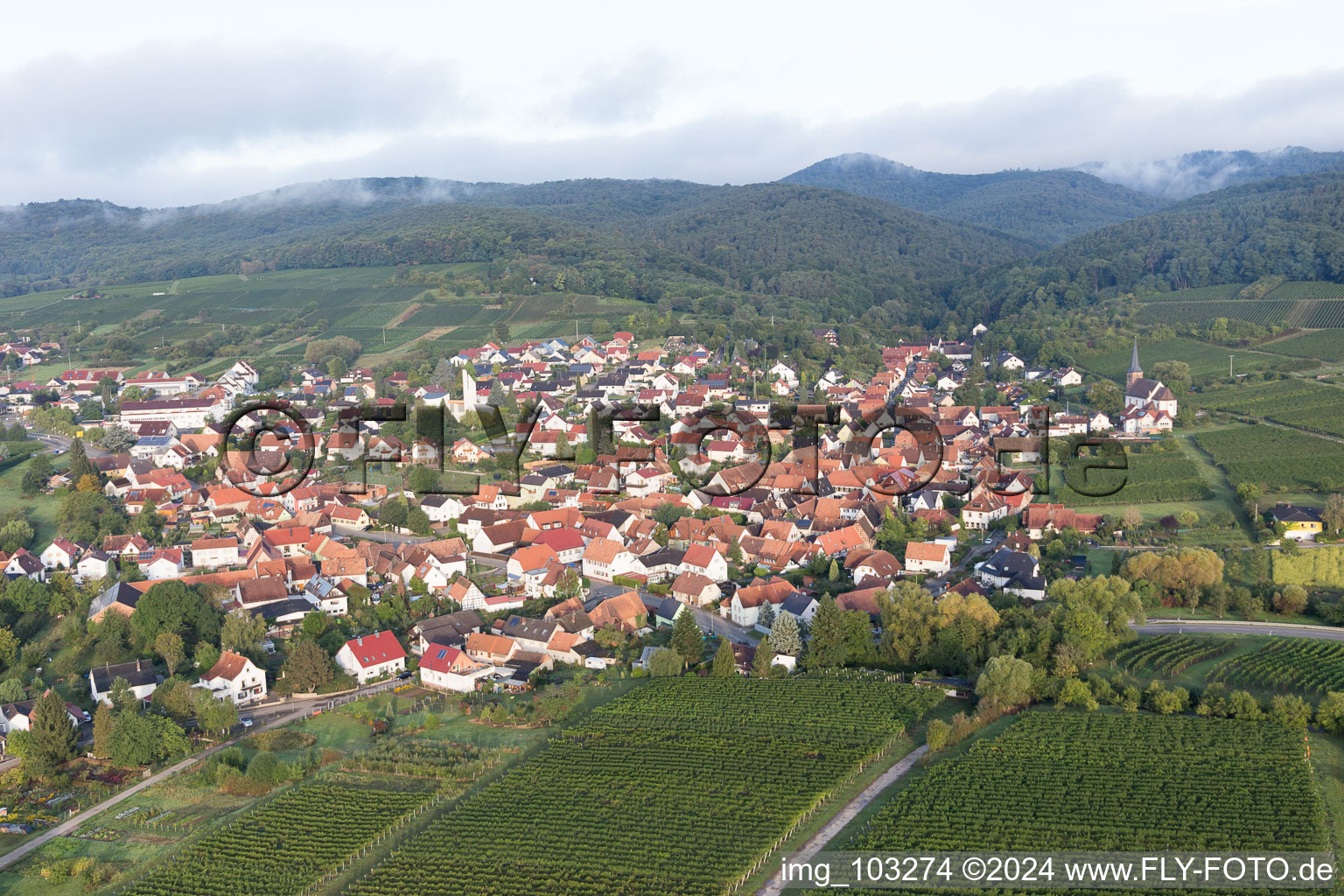 Quartier Rechtenbach in Schweigen-Rechtenbach dans le département Rhénanie-Palatinat, Allemagne hors des airs