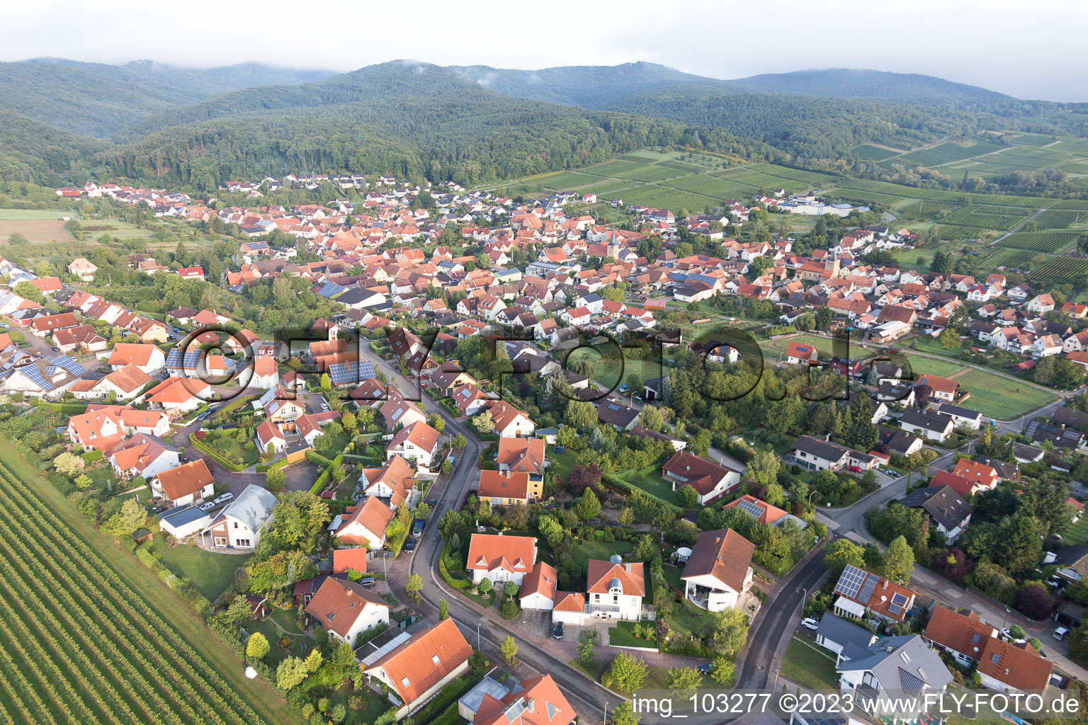 Vue aérienne de Oberotterbach dans le département Rhénanie-Palatinat, Allemagne