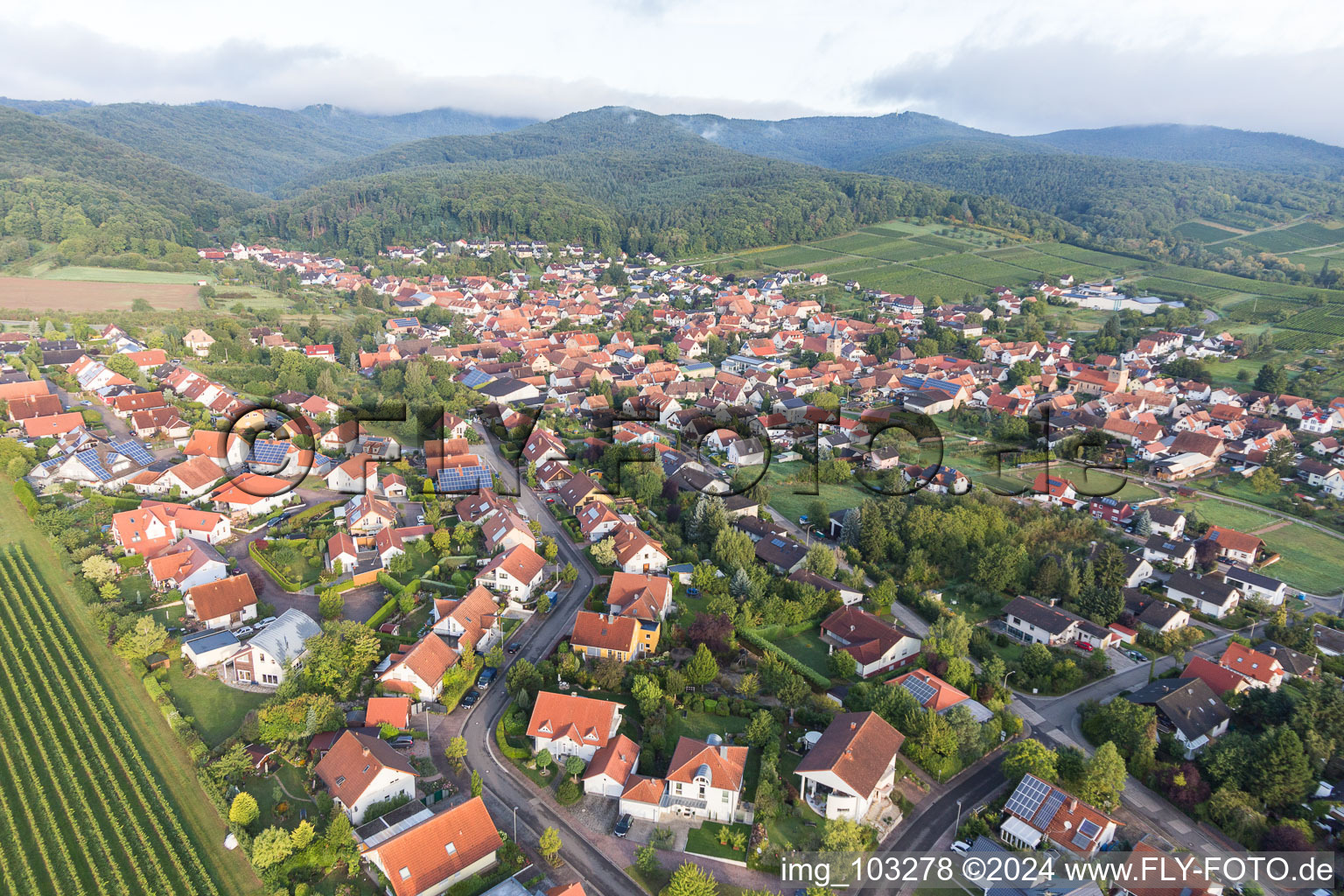 Vue aérienne de Vue des rues et des maisons des quartiers résidentiels à Oberotterbach dans le département Rhénanie-Palatinat, Allemagne