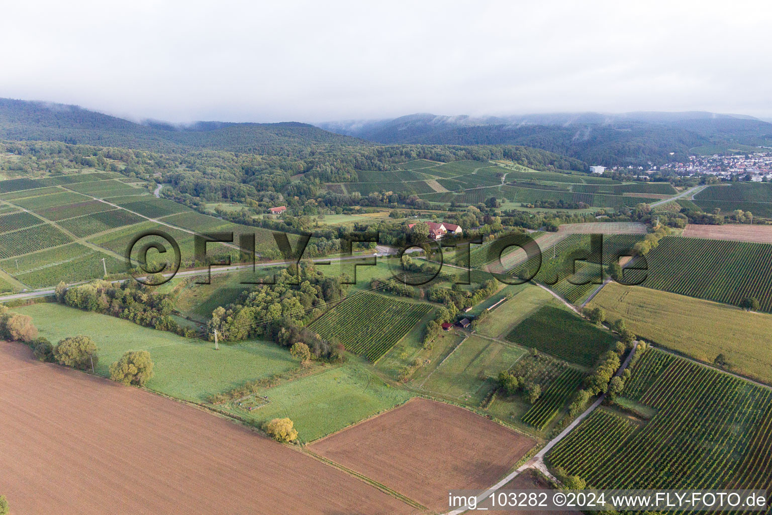 Oberotterbach dans le département Rhénanie-Palatinat, Allemagne d'en haut