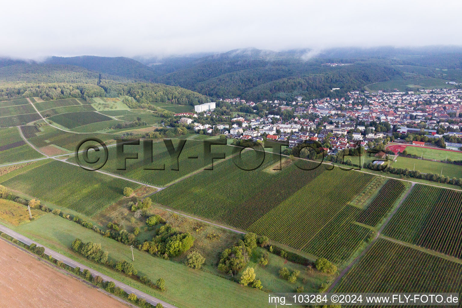 Bad Bergzabern dans le département Rhénanie-Palatinat, Allemagne du point de vue du drone