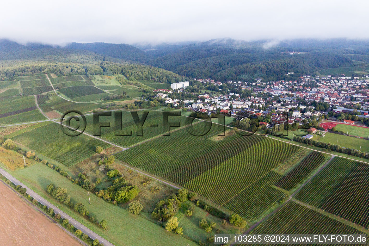 Bad Bergzabern dans le département Rhénanie-Palatinat, Allemagne d'un drone