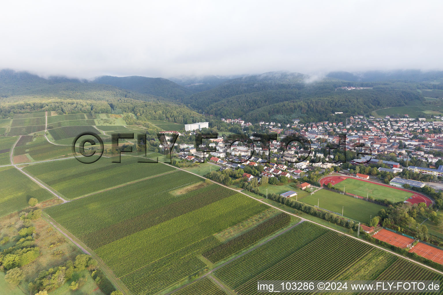 Bad Bergzabern dans le département Rhénanie-Palatinat, Allemagne vu d'un drone