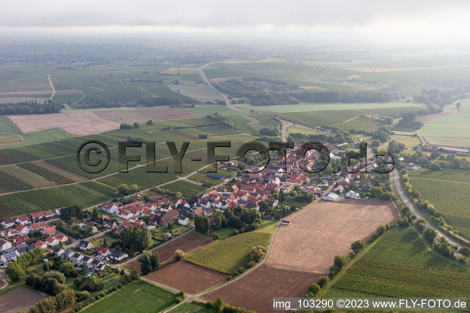 Niederhorbach dans le département Rhénanie-Palatinat, Allemagne hors des airs