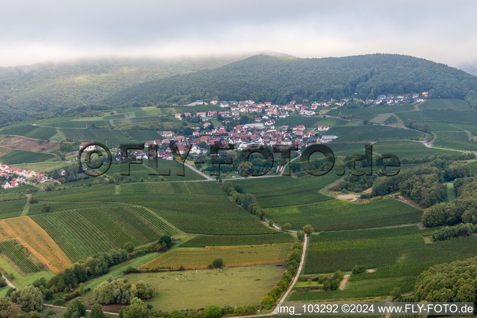 Vue d'oiseau de Quartier Gleiszellen in Gleiszellen-Gleishorbach dans le département Rhénanie-Palatinat, Allemagne