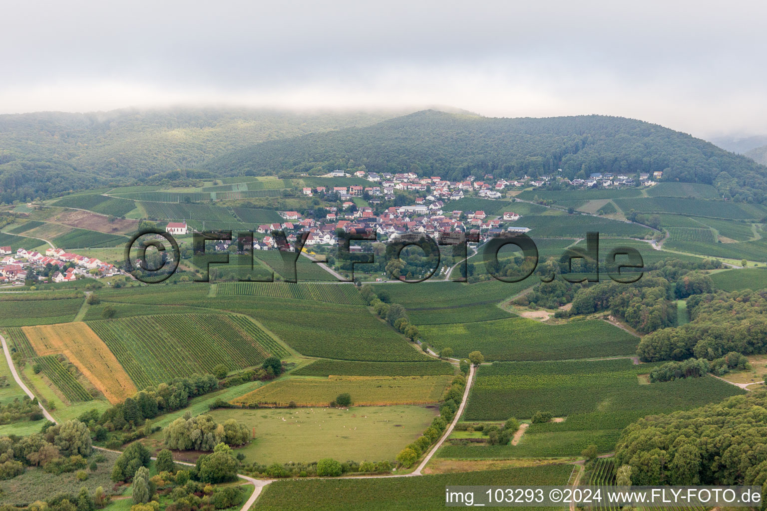 Quartier Gleiszellen in Gleiszellen-Gleishorbach dans le département Rhénanie-Palatinat, Allemagne vue du ciel