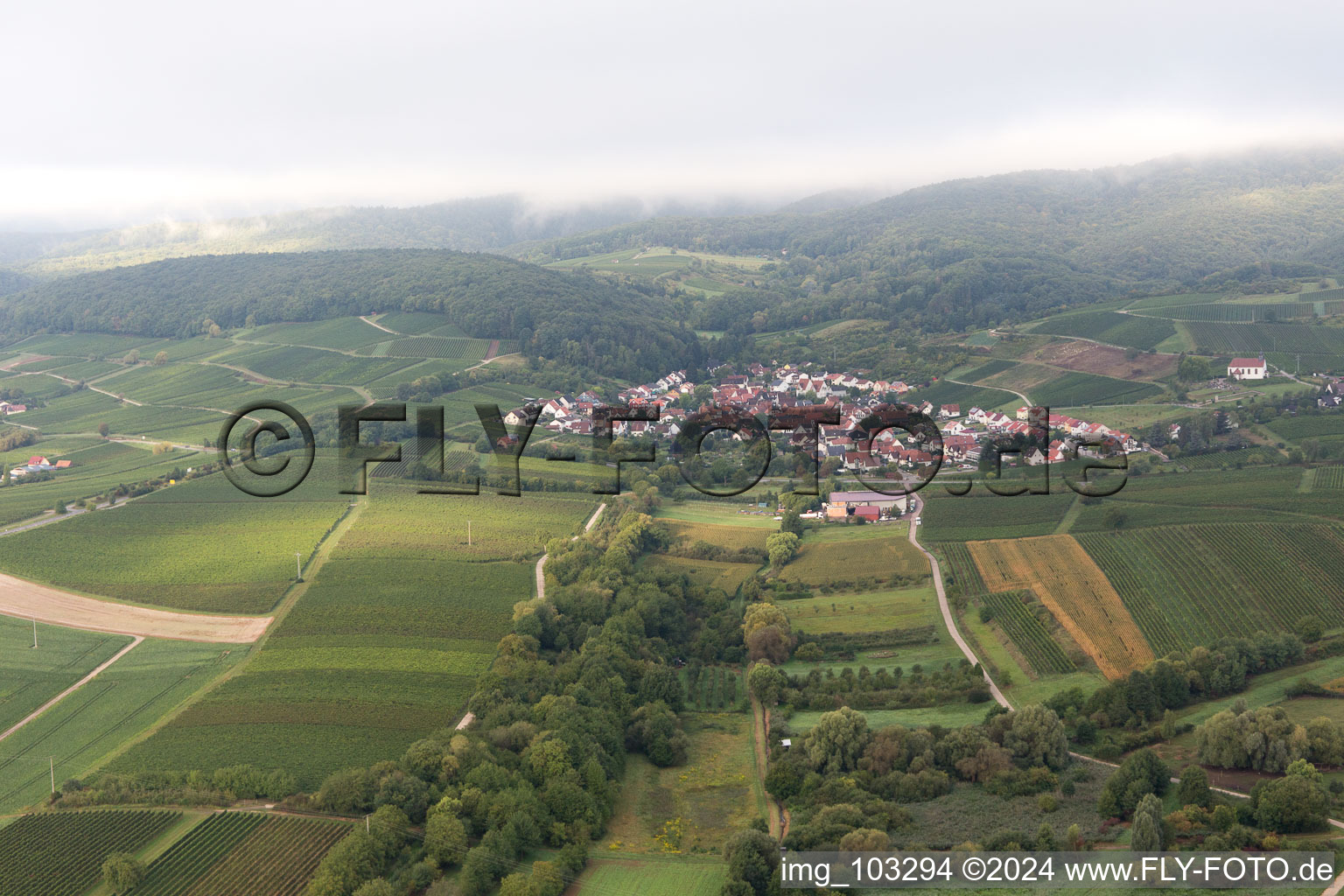 Enregistrement par drone de Quartier Gleiszellen in Gleiszellen-Gleishorbach dans le département Rhénanie-Palatinat, Allemagne