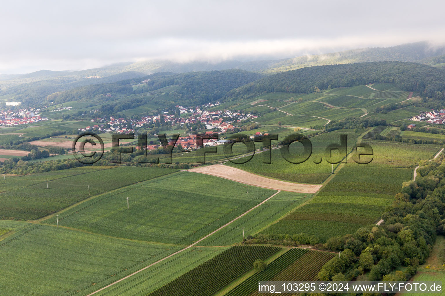 Vue aérienne de Quartier Oberhofen in Pleisweiler-Oberhofen dans le département Rhénanie-Palatinat, Allemagne