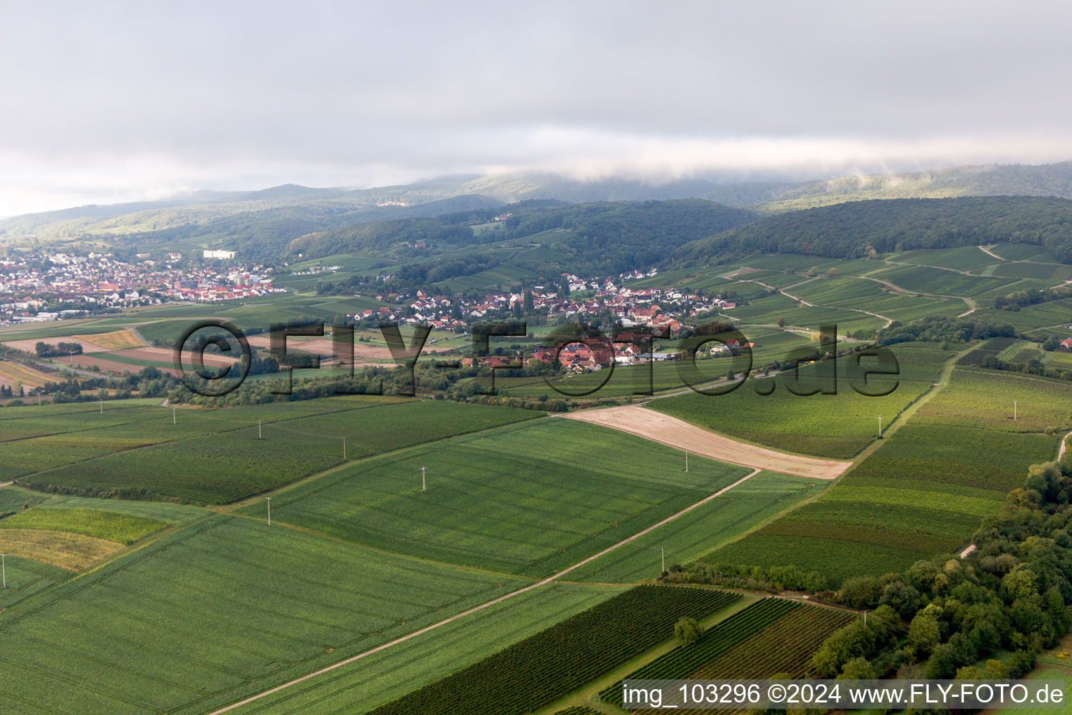 Photographie aérienne de Quartier Oberhofen in Pleisweiler-Oberhofen dans le département Rhénanie-Palatinat, Allemagne