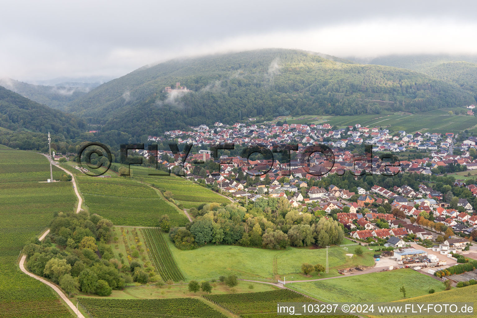 Photographie aérienne de Klingenmünster dans le département Rhénanie-Palatinat, Allemagne