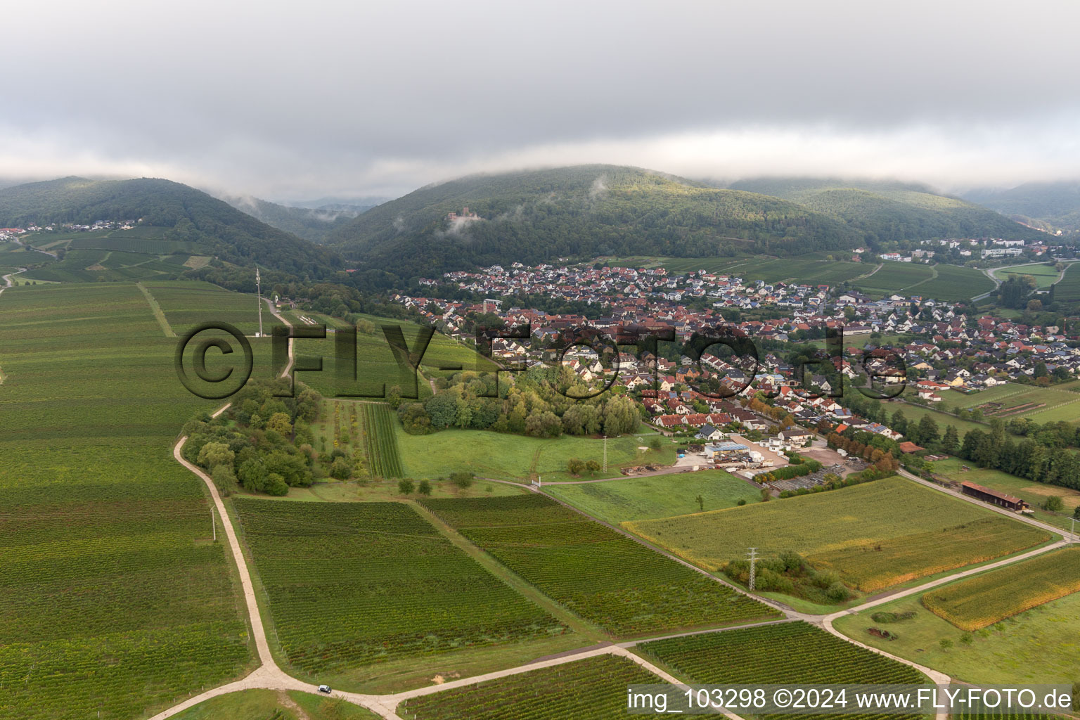 Vue oblique de Klingenmünster dans le département Rhénanie-Palatinat, Allemagne