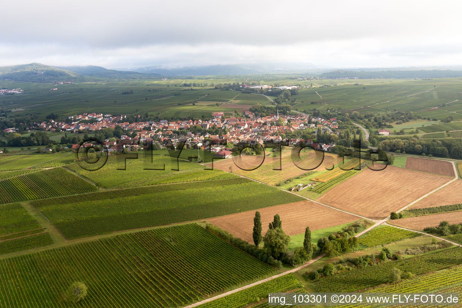 Göcklingen dans le département Rhénanie-Palatinat, Allemagne vue du ciel