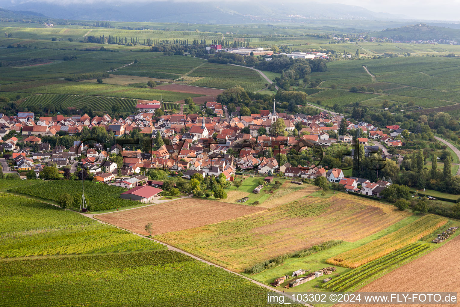 Enregistrement par drone de Göcklingen dans le département Rhénanie-Palatinat, Allemagne