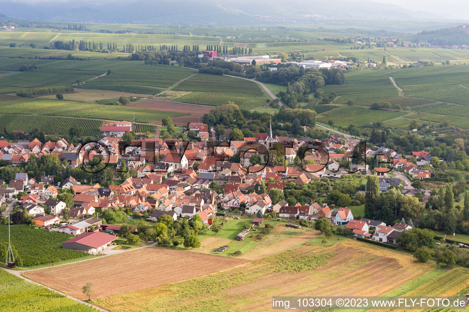 Image drone de Göcklingen dans le département Rhénanie-Palatinat, Allemagne