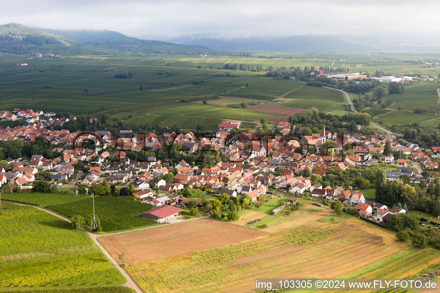 Göcklingen dans le département Rhénanie-Palatinat, Allemagne du point de vue du drone